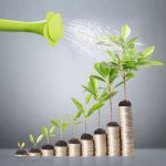 qtq80-jlsDLr